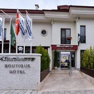 Hotel Blueberry Boutique ****