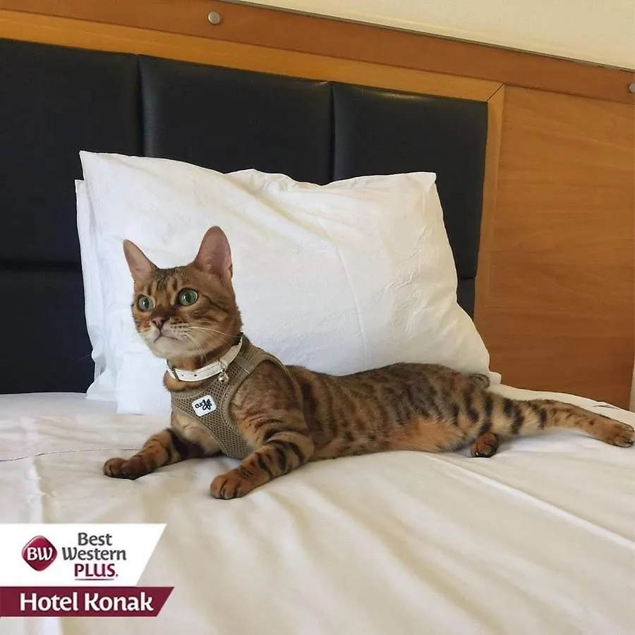 Best Western Plus Hotel Konak Esmirna 4*,